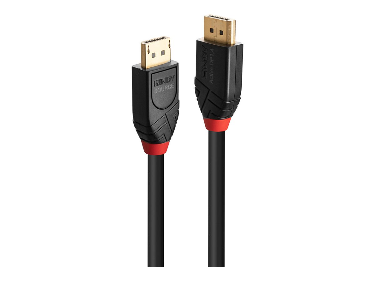 Lindy DisplayPort-Kabel - DisplayPort (M)