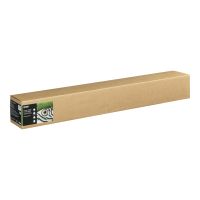 Epson Fine Art - Baumwolle - matt - 490 Mikron - hell - Rolle (111,8 cm x 15 m)
