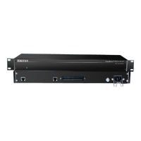 Patton SmartNode 4332 IpChannel Bank - VoIP-Gateway