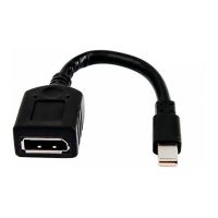 HP  DisplayPort-Adapter - Mini DisplayPort (M)