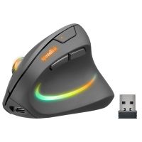 SPEEDLINK SL-630026-BK, rechts, Vertikale Ausführung, Optisch, RF Wireless, 3200 DPI, Schwarz