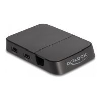 Delock Dockingstation - USB-C / Thunderbolt