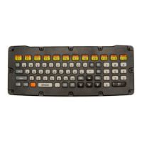 Zebra Tastatur - hinterleuchtet - USB - QWERTY