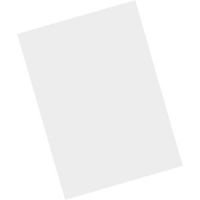 Zebra Schutzfolie (Packung mit 5) - für Zebra MC9300
