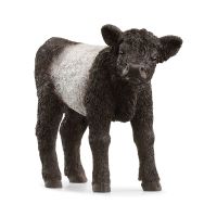 Schleich FARM WORLD Galloway Kalb, 3 Jahr(e), Schwarz, Weiß