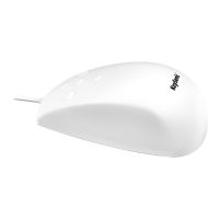 KeySonic KSM-3020M-W - Maus - 5 Tasten - kabelgebunden