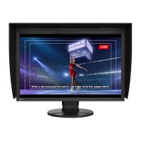 EIZO ColorEdge CG2400SV - LED-Monitor - 61.2 cm (24.1")