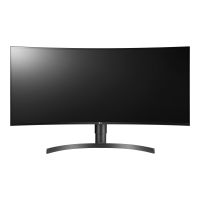 LG 34WN80C-B - LED-Monitor - gebogen - 87 cm (34")