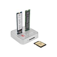 Delock SSD-Dockingstation Schächte: 2 - M.2 - M.2 NVMe Card - USB 3.2 (Gen 2)