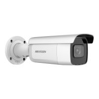 Hikvision Pro Series DS-2CD2643G2-IZS - Netzwerk-Überwachungskamera - Bullet - staubdicht/wasserdicht/vandalismusresistent - Farbe (Tag&Nacht)