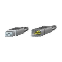 Cisco Jumper - Stromkabel - IEC 60320 C20 zu IEC 60320 C19