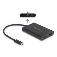 Delock Dockingstation - USB-C / Thunderbolt