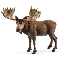 Schleich WILD LIFE Elch Bulle, 3 Jahr(e), Mehrfarbig, Kunststoff, 1 Stück(e)