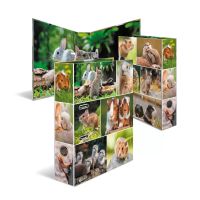 HERMA Motiv-Ordner A4 Animals Nagetiere, A4, Halteöse, Lagerung, Karton, Mehrfarbig, 7 cm