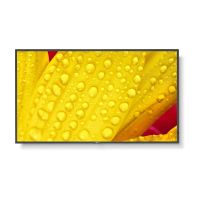 NEC Display MultiSync M431-2 - 109 cm (43") Diagonalklasse (108 cm (42.5")
