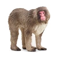 Schleich WILD LIFE Japanmakak, 3 Jahr(e), Beige, Braun, Pink