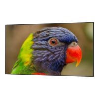 DynaScan DS752LR4 - 190.5 cm (75") Diagonalklasse LCD-Display mit LED-Hintergrundbeleuchtung - 4K UHD (2160p)
