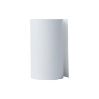 Brother Weiß - Rolle (10,16 cm x 32,2 m) 1 Rolle(n) Endlospapier (Packung mit 20)