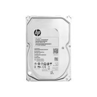 HP Enterprise - Festplatte - 2 TB - intern - 3.5" (8.9 cm)