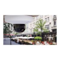 Mobotix D71 - Netzwerk-Überwachungskamera - Kuppel - Außenbereich, Innenbereich - wetterfest - Farbe (Tag&Nacht)