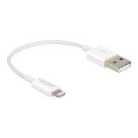 Delock Lightning-Kabel - USB männlich zu Lightning männlich