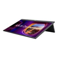 ASUS ZenScreen MB17AHG - LED-Monitor - 43.9 cm (17.3")