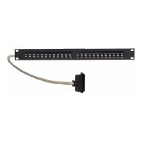 AudioCodes Patch Panel - Rack montierbar - RJ-11 X 24 - 48.3 cm (19")