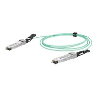 DIGITUS 100GBase Direktanschlusskabel - QSFP28 zu QSFP28 - 2 m - Glasfaser - Duplex - SFF-8431/SFF-8432 - Active Optical Cable (AOC)