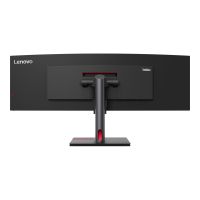 Lenovo ThinkVision P49w-30 - LED-Monitor - gebogen - 124.5 cm (49")