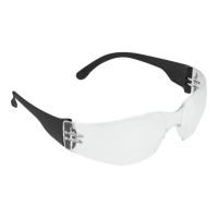 Delock Sicherheitsglas - Polycarbonat - Schwarz