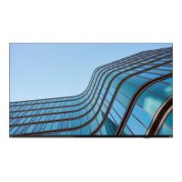 Lenovo ThinkVision E55 LFD - 140 cm (55") Diagonalklasse (138.7 cm (54.6")