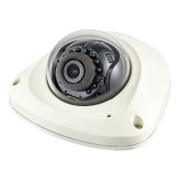 Hanwha Techwin Hanwha Vision WiseNet Q QNV-6024RM - Netzwerk-Überwachungskamera - Kuppel - vandalismusgeschützt - Farbe (Tag&Nacht)