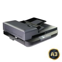 Avision AD5800, 297 x 432 mm, 1200 x 1200 DPI, 48 Bit, 24 Bit, 16 Bit, 8 Bit