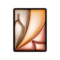 Apple 13-inch iPad Air M2 Wi-Fi + Cellular - Tablet - 1 TB - 33 cm (13")