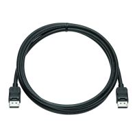 HP  DisplayPort-Kabel - DisplayPort (M) zu DisplayPort (M)