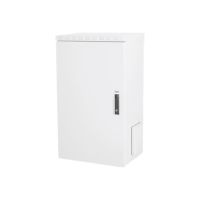 DIGITUS Professional - Gehäuse - geeignet für Wandmontage - Grau, RAL 7035 - 20U - 48.3 cm (19")