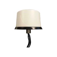 Cisco Dual LTE-Single GPS Multi-band - Antenne