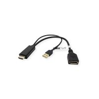 ROTRONIC-SECOMP VALUE - Adapterkabel - HDMI zu USB, DisplayPort
