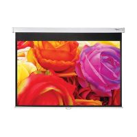 Optoma DS-1095PMG+ - Leinwand - Deckenmontage möglich, geeignet für Wandmontage - 241 cm (95")