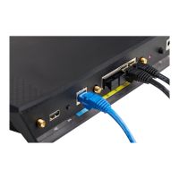 StarTech.com 100er Pack RJ45 Blindstopfen - Wiederverwendbarer RJ45 Staubschutz / Abdeckkappe - Einrastbare RJ45 Dust Covers (RJ45COVER)