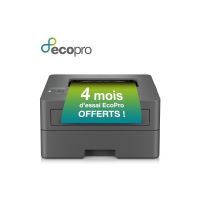 Brother HL-L2400DWE - Drucker - s/w - Duplex