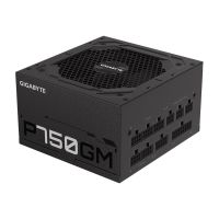 Gigabyte P750GM - Netzteil (intern) - ATX12V 2.31