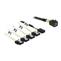 Delock SATA- / SAS-Kabel - SAS 12Gbit/s - Mini SAS HD (SFF-8643)