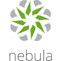 ZyXEL Nebula Professional Pack - Abonnement-Lizenz (1 Jahr)