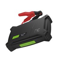 Green Cell CJSGC01, 16000 mAh, Lithium Polymer (LiPo), Power Delivery, Quick Charge 1.0, Quick Charge 2.0, Quick Charge 3+, Quick Charge 3.0, 80 W, Schwarz