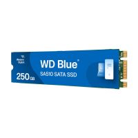 WD Blue SA510 WDS250G3B0B-00AXS0 - SSD - 250 GB