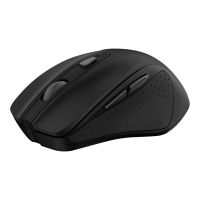 Trust Nito Silent - Maus - Für Rechtshänder - 5 Tasten - kabellos - 2.4 GHz - kabelloser Empfänger (USB)