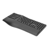 DIGITUS DA-20157 - Tastatur - kabellos - 2.4 GHz