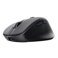 Trust Zevo, rechts, Optisch, RF Wireless + Bluetooth, 4000 DPI, Schwarz