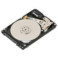 Lenovo Festplatte - 300 GB - Hot-Swap - 2.5" (6.4 cm)